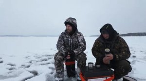 Огромные окуни в Подмосковье! Первый лед 2025! Зимняя рыбалка.