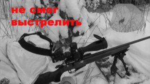 Охота на тетерева зимой с подхода Когда выстрелить не смог