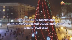 Новогоднее поздравление депутата Московской областной думы Андрея Голубева