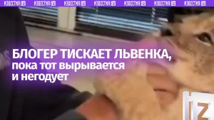 Держит дома львенка: блогер похвалился питомцем