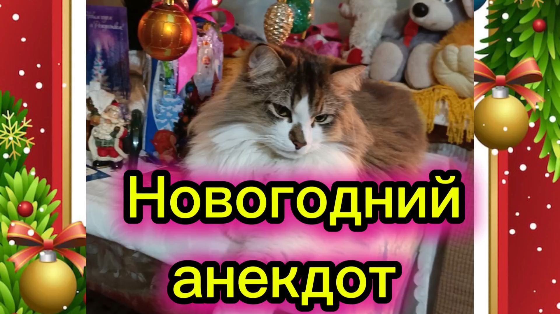 Новогодний анекдот 🤣🎄 смотреть онлайн