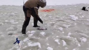 На резину.Основной водоём