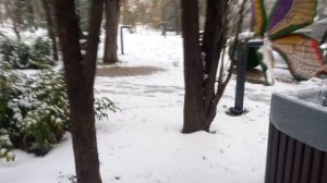 Под Новый год. 29.12 25. Севастополь