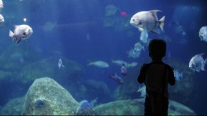 Ruizhi Machinery  Инновационные решения, разработанные для промышленности