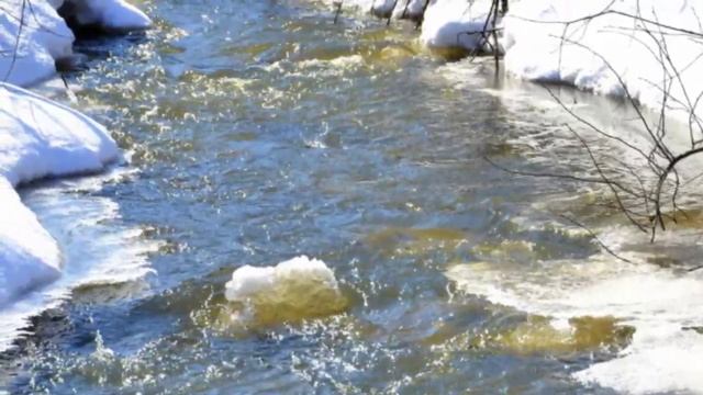 Пили из колодца воду Нина Вараксина сл Нина Бурмистрова муз Николай Жуков Авт НРудакова смотреть онлайн