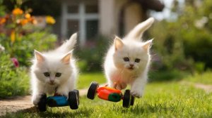 ИИ АНИМАЦИЯ