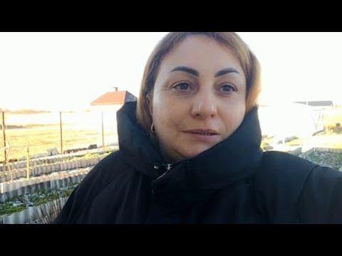 Отвечаю на Комментарии / Моя Вытянувшая Рассада // Ночной Городок/ смотреть онлайн