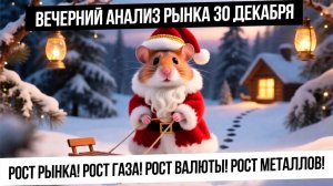 Вечерний анализ рынка 30 декабря. Рост газа! Металлы ушли в отскок! Отсутствие паники в рынке РФ!
