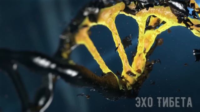 Матрица для Снижения Веса и Активизации Обмена Вещест смотреть онлайн