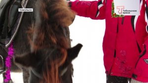 СИМВОЛ ГОДА