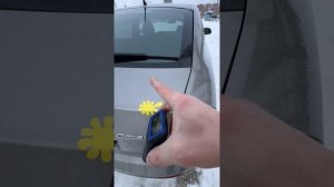 Музейная Октавиа