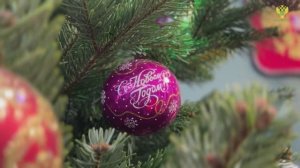 Глава Рослесхоза Иван Советников принял участие в акции Елка желаний