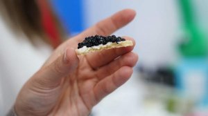 Аналитики назвали стоимость одного бутерброда с черной икрой