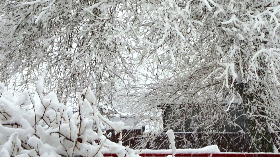 С НОВЫМ 2026-М!