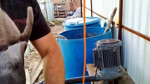 Правильный полив томатов. Почему не усваивается Кальций