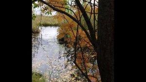 гр.Самоцветы - Всё,что в жизни есть у меня (Коровье озеро)