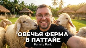 Family Park — овечья ферма недалеко от Паттайи 🐑