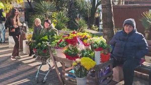 Краснокнижными растениями снова торгуют на улицах Сочи