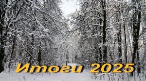 Итоги 2025.