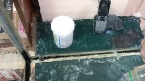 А вот и чистый аквариум