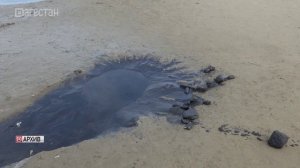 Штраф за слив жидких бытовых отходов в несанкционированные места - 250 тыс.рублей