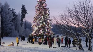 30-12-2025🌲Влог🌲вторник 🌲комментарии