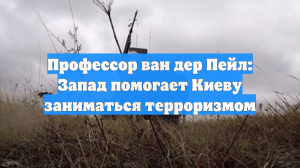 Нидерландский политолог Пейл: НАТО терпит поражение, продолжая помогать Украине