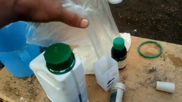 Профилактика бактериозов. Разгоняем корень. Осенний оборот томата