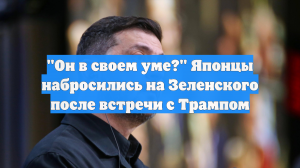 "Он в своем уме?" Японцы набросились на Зеленского после встречи с Трампом
