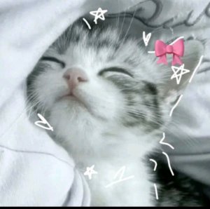 играем в Wobbledogs