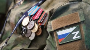 Цивилева призвала расширить возможности трудоустройства ветеранов СВО