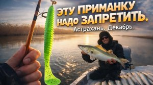 Эту приманку надо запретить. Эта Астрахань. Рыболовная база СТАНЬЯ. Безумные раздачи по судаку