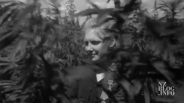 _Героя_ за выращивание конопли смотреть онлайн