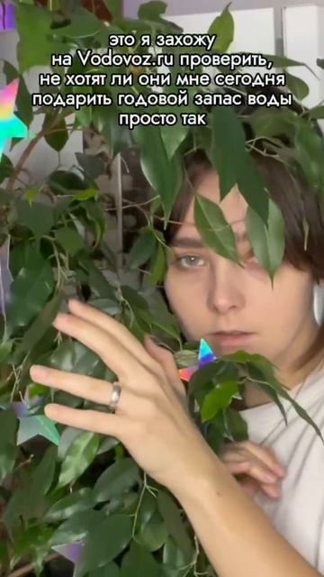 Говорят, что в новогодние праздники сбываются мечты ✨ смотреть онлайн