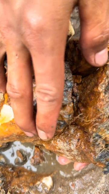 Как найти золото смотреть онлайн