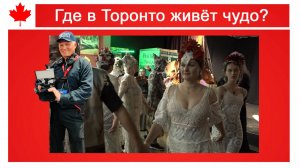Где в Торонто живёт чудо?