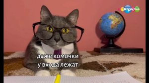 серия 10 урок труда kotiynet на карусели