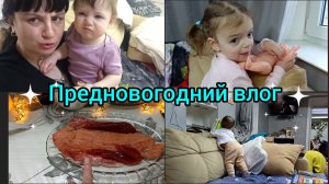 Предновогодний влог.