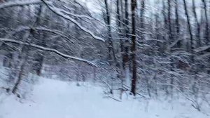 Руся AND Пипонька Итоги 2025 года 🥳🥳🥳