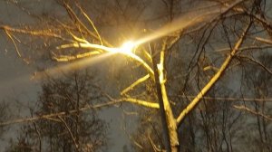 30 декабря  магический 🧝 лунный  🌖 прогноз на 31 декабря...