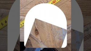 1000044156.mp4 (Собака наблюдает за устройством лестницы на 2 этаж в доме А-фрейм)