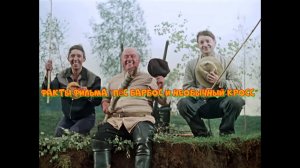 Пёс Барбос и необычный кросс