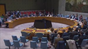 Д.А.Гильмутдинова в ООН по наблюдению за разъединением между Сирией и Израилем, 29 декабря 2025 года