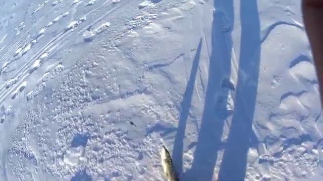 Рыбалка в Караганде,Федоровское водохранилище тоже радует уловом. смотреть онлайн