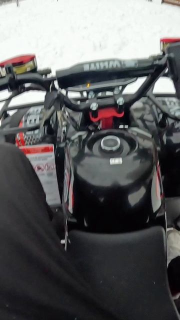 Зимняя тяга!!! #whitesiberia #рек #тренд #топ #челлендж #шортс #квадрик #shorts #escooter смотреть онлайн