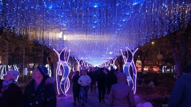 Как провести выходные в Краснодаре?