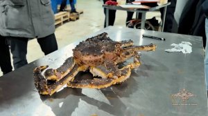 В Мурманской области полицейские перекрыли канал незаконного сбыта крабов