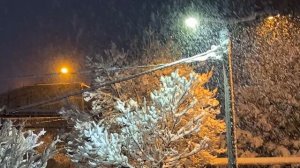 Ялта.Такого снегопада,такого снегопада,давно не помнят здешние места.А снег не знал и падал.29.12.25