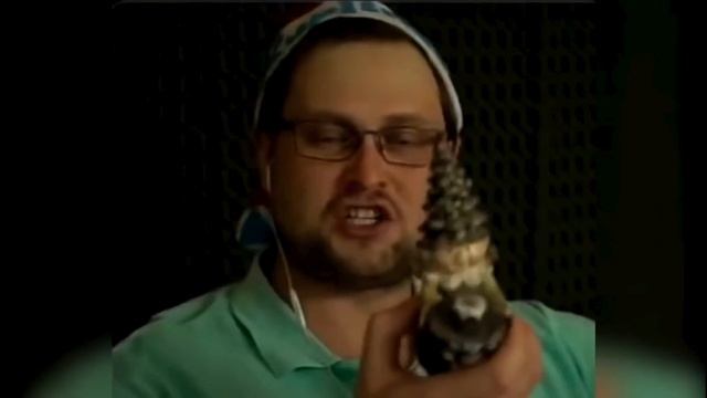 новогодний куплинов(почти 10 минут) смотреть онлайн