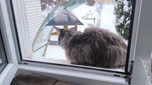 Жизнь на пенсии в деревне.Переделала 12 дел🤦Едут дети!